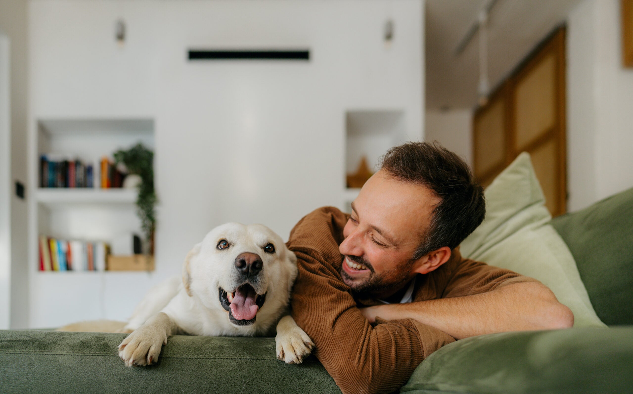 How to Choose the Right Veterinarian in Sacramento | Watt Avenue Pet Hospital