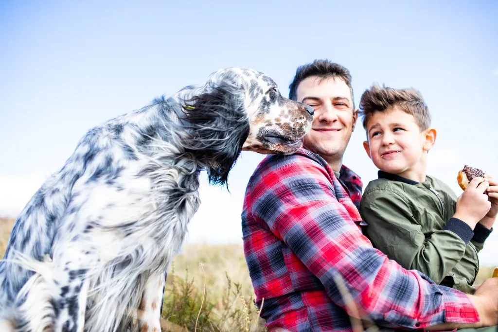 Seasonal Pet Care in Sacramento | How Local Climate Impacts Pet Health