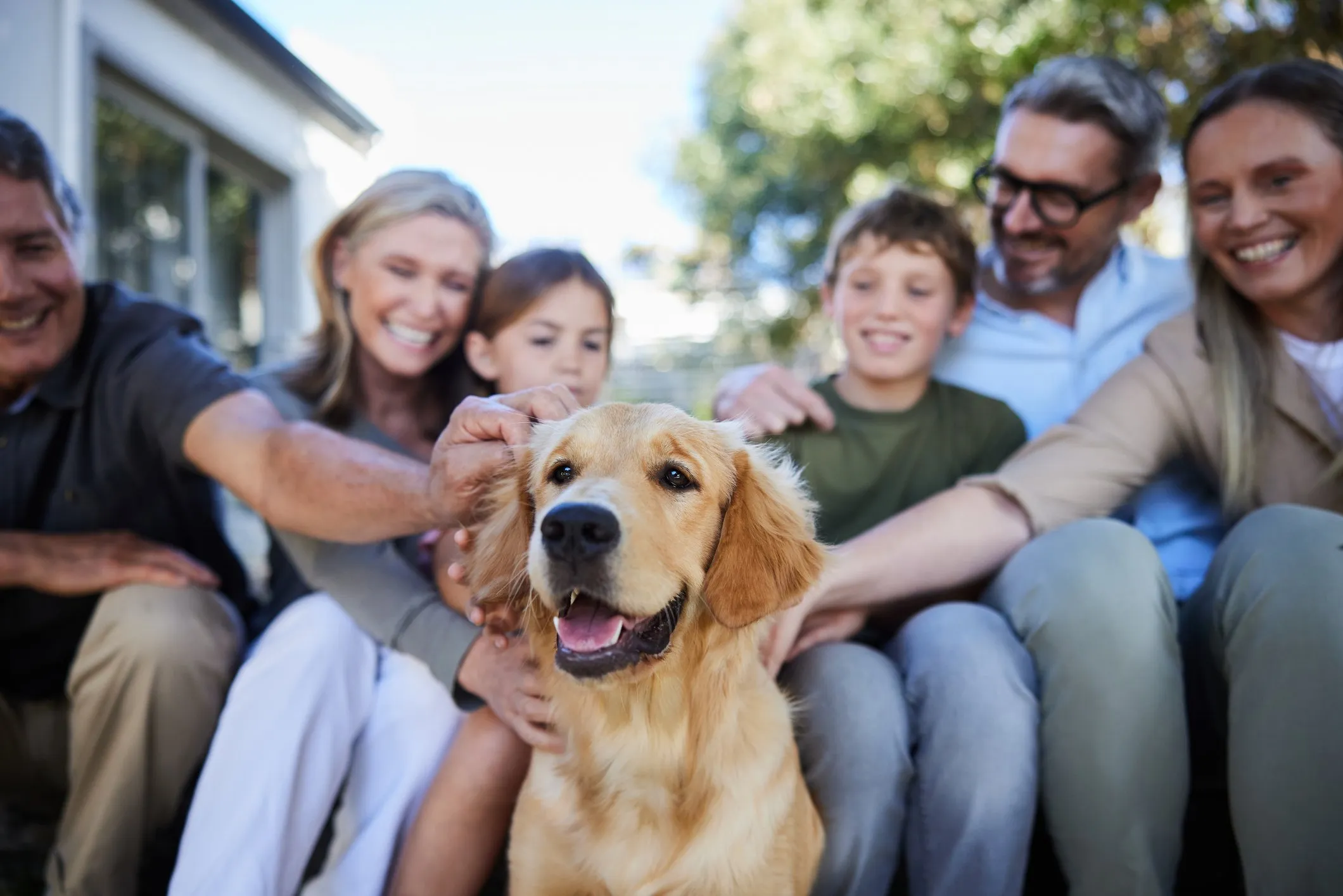 Why Choosing the Right Sacramento Veterinarian Matters for Your Pet’s Health