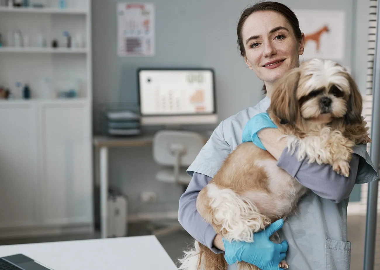What to Expect at Your Pet’s Annual Exam – Sacramento’s Trusted Veterinary Care